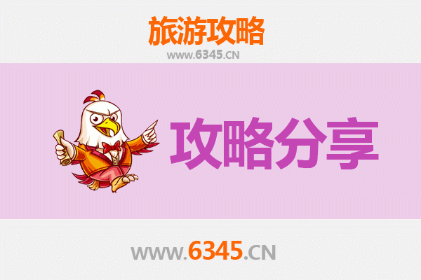 石河子向阳街道旅游攻略：跟团与自由行深度对比